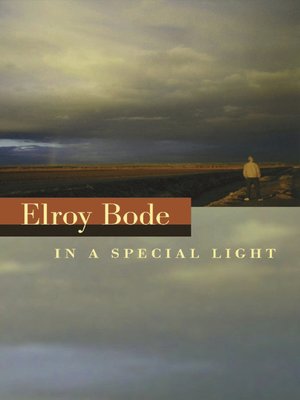 cover image of In a Special Light